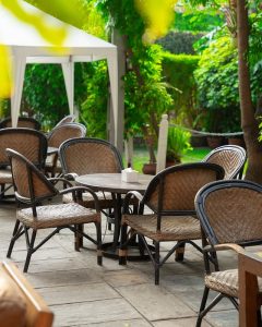 508624221_1123527219812912_4870945799038223471_n