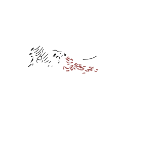 Himalayan Java